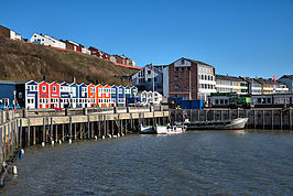 DSC03003 -1_t.jpg